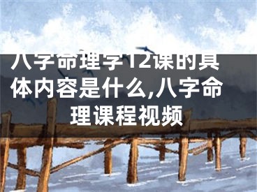 八字命理学12课的具体内容是什么,八字命理课程视频