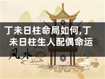 丁未日柱命局如何,丁未日柱生人配偶命运