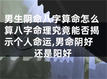 男生阴命八字算命怎么算八字命理究竟能否揭示个人命运,男命阴好还是阳好