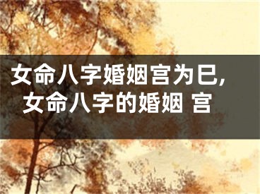 女命八字婚姻宫为巳,女命八字的婚姻 宫