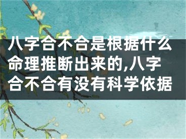 八字合不合是根据什么命理推断出来的,八字合不合有没有科学依据