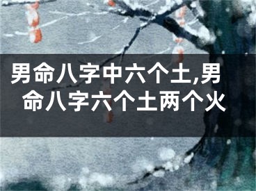 男命八字中六个土,男命八字六个土两个火