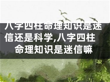 八字四柱命理知识是迷信还是科学,八字四柱命理知识是迷信嘛
