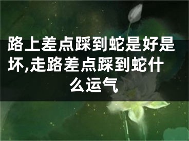 路上差点踩到蛇是好是坏,走路差点踩到蛇什么运气
