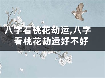 八字看桃花劫运,八字看桃花劫运好不好
