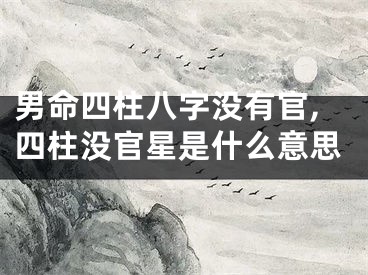 男命四柱八字没有官,四柱没官星是什么意思