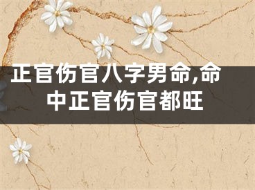 正官伤官八字男命,命中正官伤官都旺
