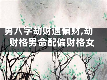 男八字劫财遇偏财,劫财格男命配偏财格女
