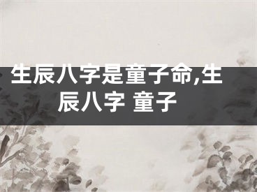 生辰八字是童子命,生辰八字 童子