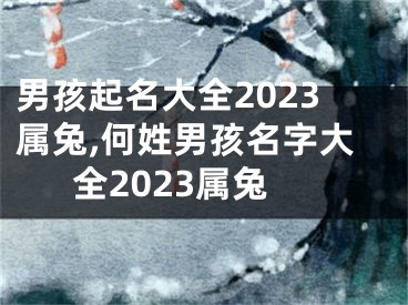男孩起名大全2023属兔,何姓男孩名字大全2023属兔