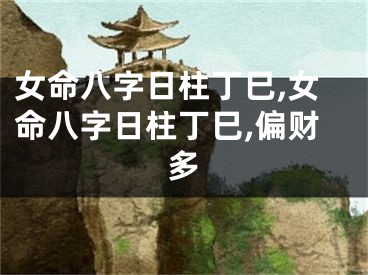 女命八字日柱丁巳,女命八字日柱丁巳,偏财多