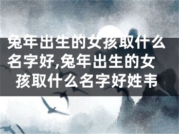 兔年出生的女孩取什么名字好,兔年出生的女孩取什么名字好姓韦