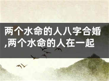 两个水命的人八字合婚,两个水命的人在一起