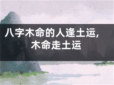 八字木命的人逢土运,木命走土运