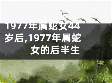 1977年属蛇女44岁后,1977年属蛇女的后半生