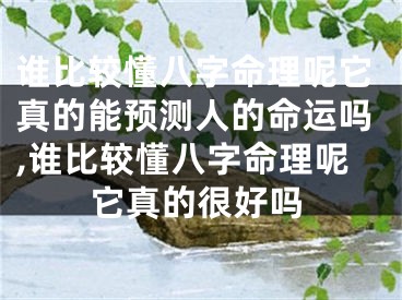 谁比较懂八字命理呢它真的能预测人的命运吗,谁比较懂八字命理呢它真的很好吗