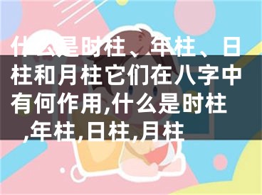 什么是时柱、年柱、日柱和月柱它们在八字中有何作用,什么是时柱,年柱,日柱,月柱