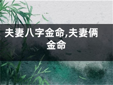 夫妻八字金命,夫妻俩金命