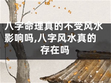 八字命理真的不受风水影响吗,八字风水真的存在吗