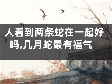 人看到两条蛇在一起好吗,几月蛇最有福气