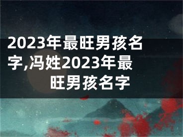 2023年最旺男孩名字,冯姓2023年最旺男孩名字