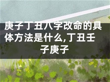 庚子丁丑八字改命的具体方法是什么,丁丑壬子庚子