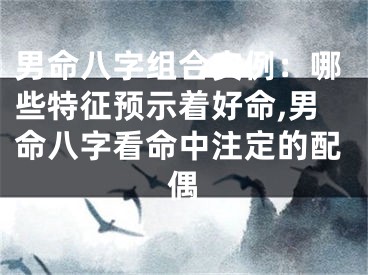 男命八字组合实例：哪些特征预示着好命,男命八字看命中注定的配偶