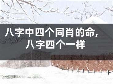八字中四个同肖的命,八字四个一样
