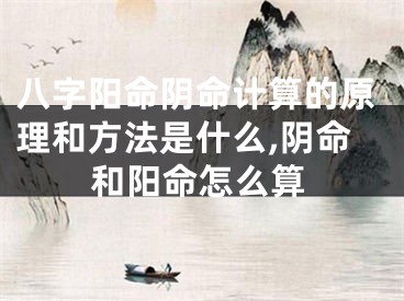 八字阳命阴命计算的原理和方法是什么,阴命和阳命怎么算