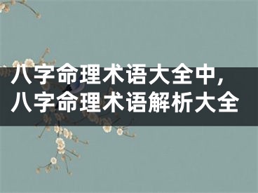 八字命理术语大全中,八字命理术语解析大全