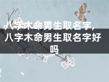 八字木命男生取名字,八字木命男生取名字好吗