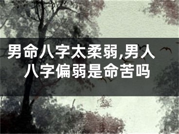 男命八字太柔弱,男人八字偏弱是命苦吗