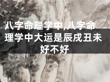 八字命理学中,八字命理学中大运是辰戌丑未好不好