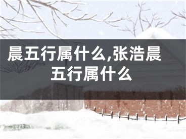 晨五行属什么,张浩晨五行属什么