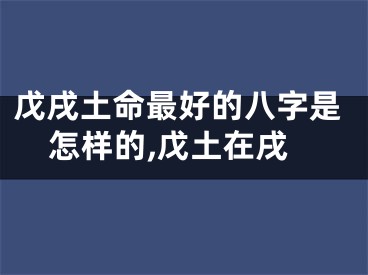 戊戌土命最好的八字是怎样的,戊土在戌
