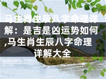 马生肖生辰八字命理详解：是吉是凶运势如何,马生肖生辰八字命理详解大全