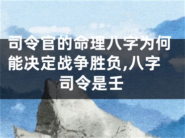 司令官的命理八字为何能决定战争胜负,八字司令是壬