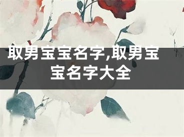 取男宝宝名字,取男宝宝名字大全