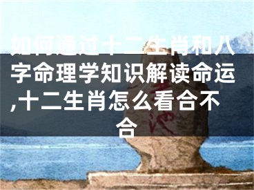 如何通过十二生肖和八字命理学知识解读命运,十二生肖怎么看合不合