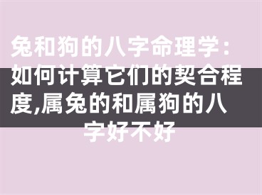 兔和狗的八字命理学：如何计算它们的契合程度,属兔的和属狗的八字好不好