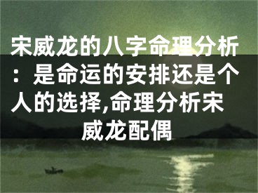 宋威龙的八字命理分析：是命运的安排还是个人的选择,命理分析宋威龙配偶