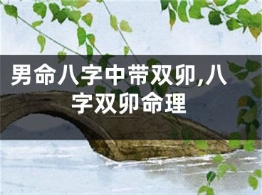 男命八字中带双卯,八字双卯命理