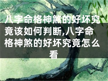 八字命格神煞的好坏究竟该如何判断,八字命格神煞的好坏究竟怎么看