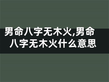 男命八字无木火,男命八字无木火什么意思