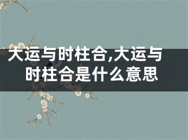 大运与时柱合,大运与时柱合是什么意思