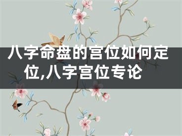 八字命盘的宫位如何定位,八字宫位专论