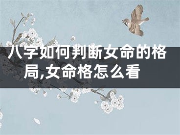 八字如何判断女命的格局,女命格怎么看