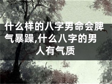 什么样的八字男命会脾气暴躁,什么八字的男人有气质