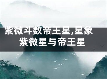 紫微斗数帝王星,星象紫微星与帝王星