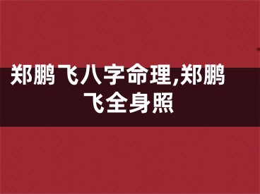 郑鹏飞八字命理,郑鹏飞全身照